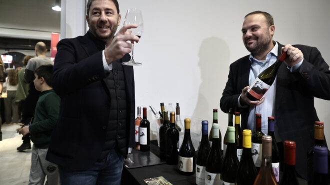 αιχμές-ανδρουλάκη-για-το-τεράστιο-κό-562878550