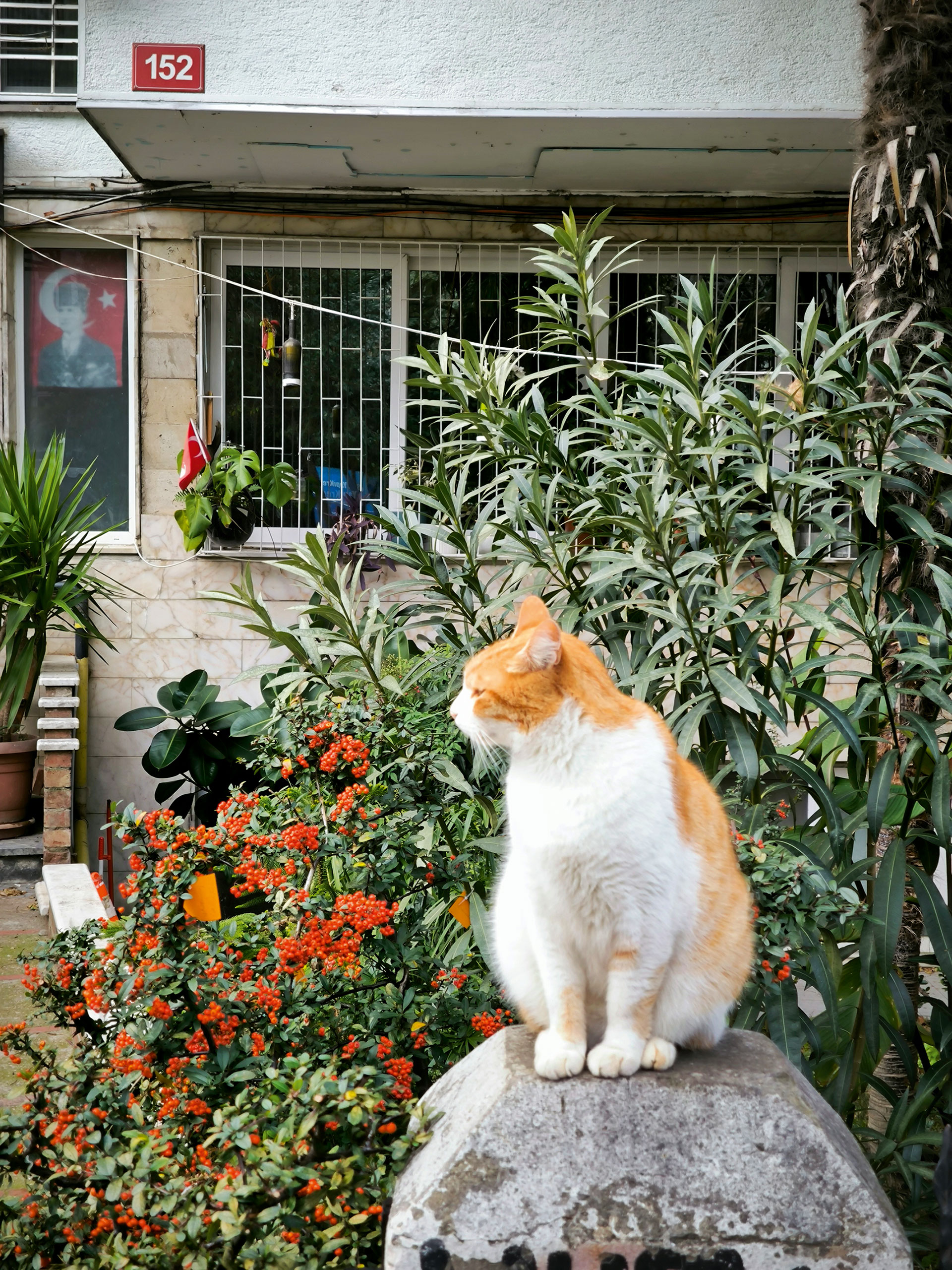 Μία περιπλάνηση στην ασιατική πλευρά της Κωνσταντινούπολης-2