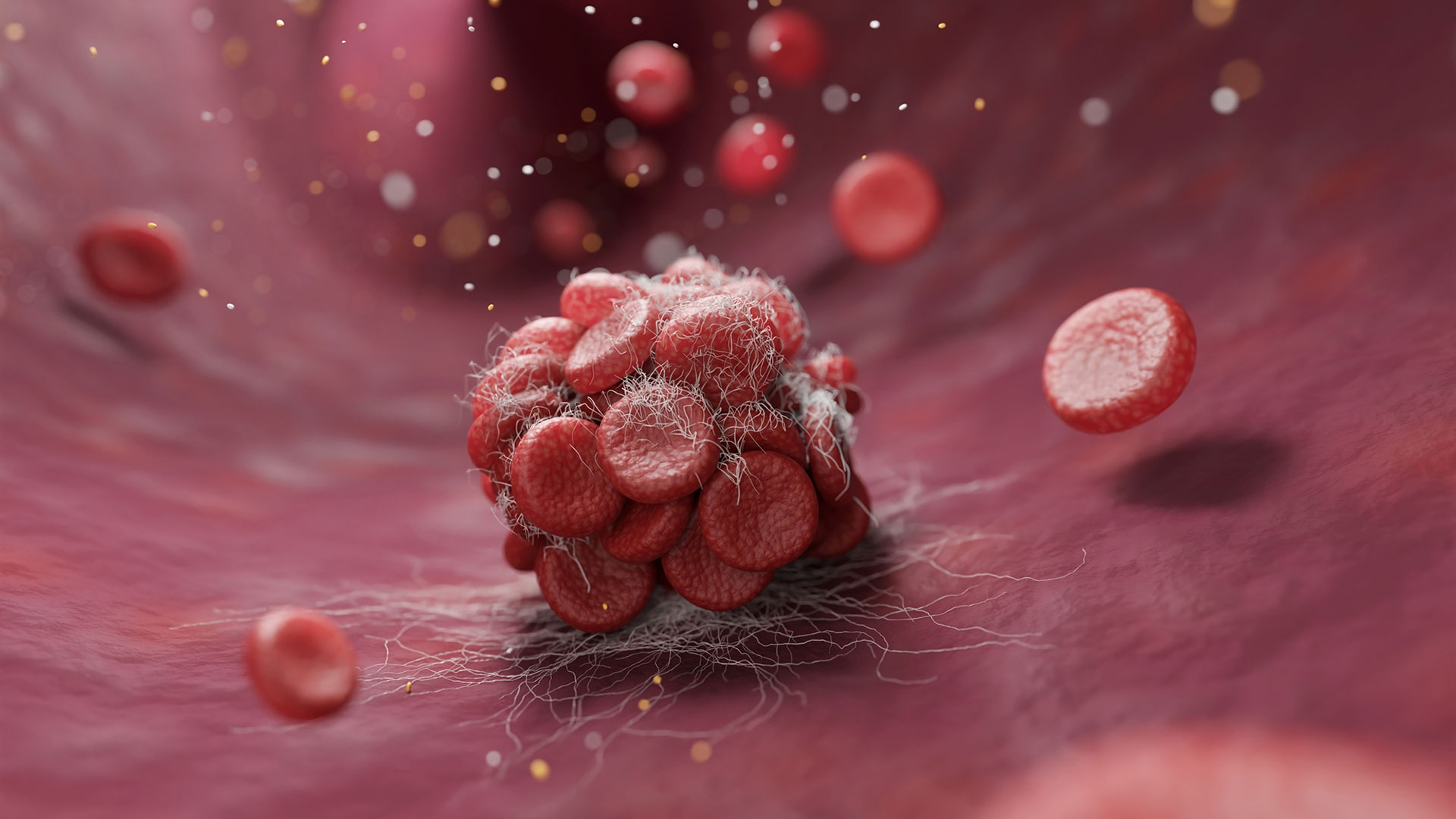 τα-νεότερα-για-τα-αντιθρομβωτικά-562869313