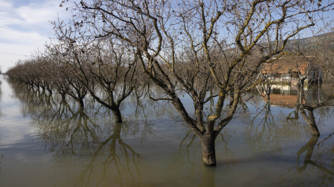 αξίζουν-100-εκατ-για-χωράφια-που-θα-ξαναγ-562865902