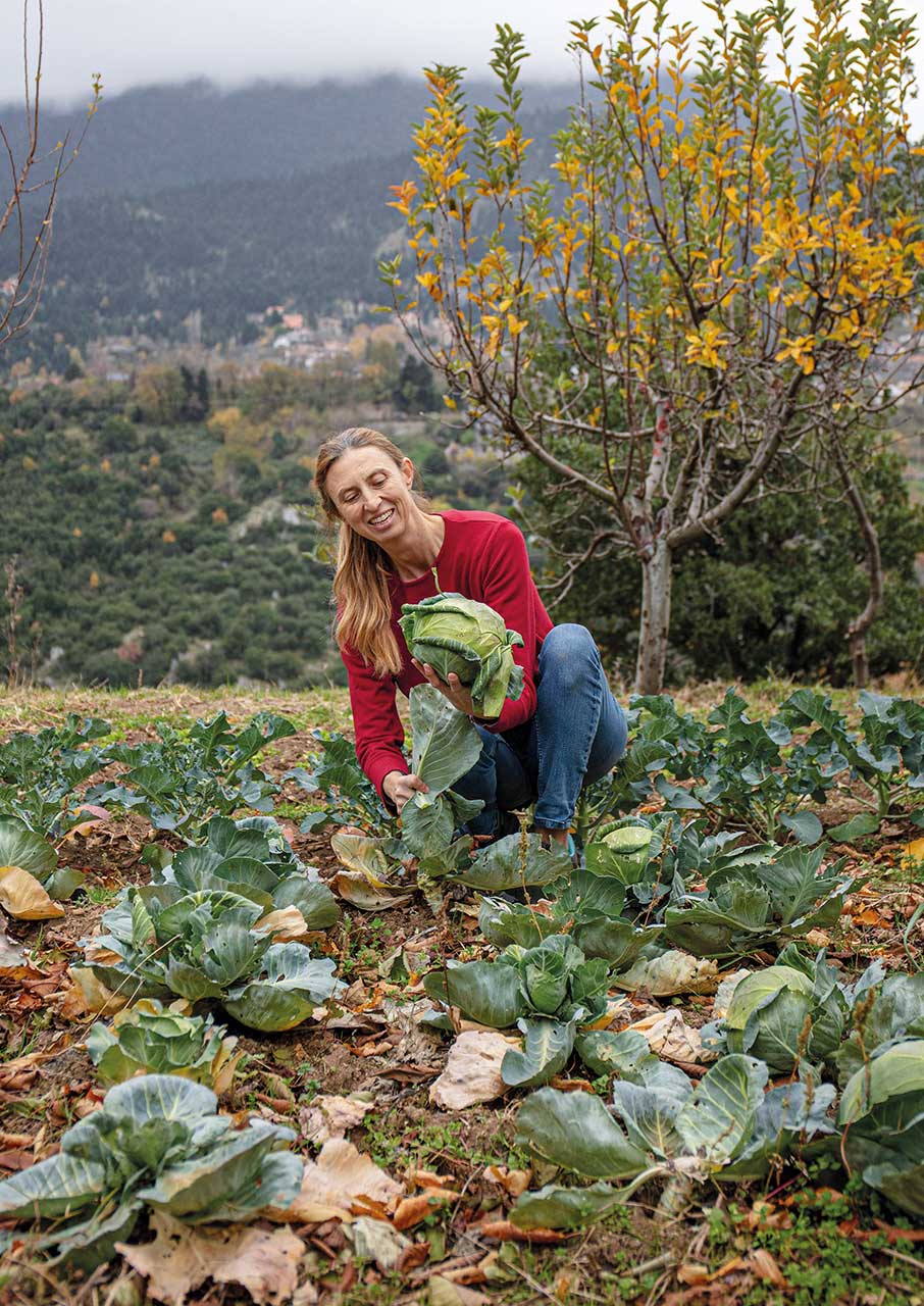 3 μοναδικοί ξενώνες που πρέπει να επισκεφθείτε στη Στερεά Ελλάδα-15