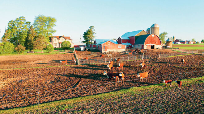 ζωή-όμορφη-σαρωτική-πολύτιμη-562899355