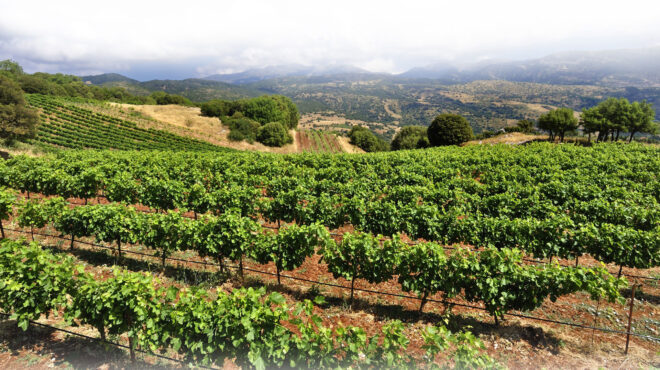 κωνσταντίνος-αντωνόπουλος-1948-1994-ένας-ορ-562901377