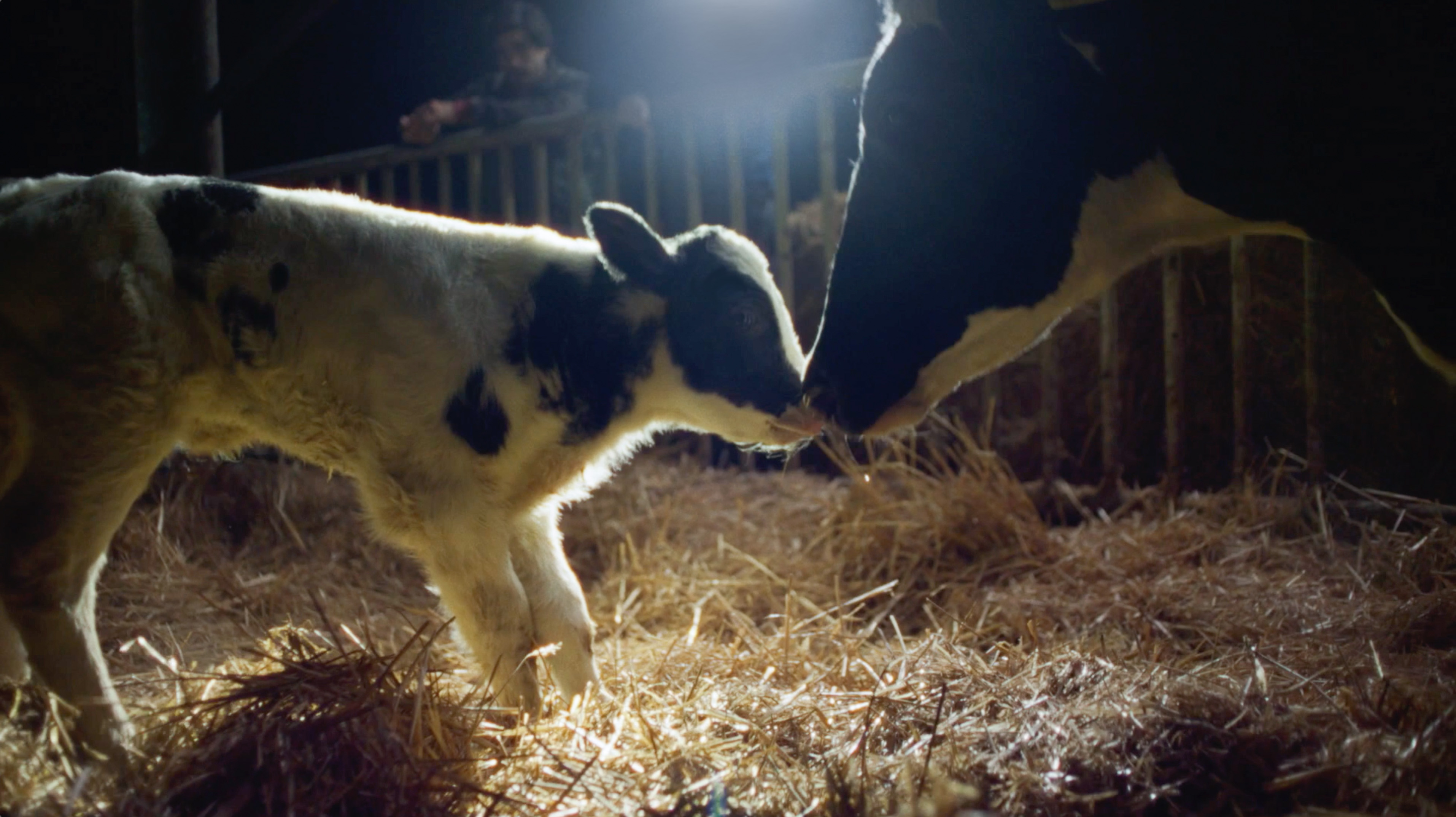 Σε τι μετριέται το γάλα;-1