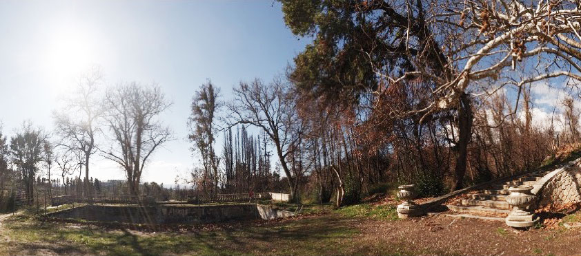 Το Τατόι «ανθίζει» με το βλέμμα στο μέλλον-1