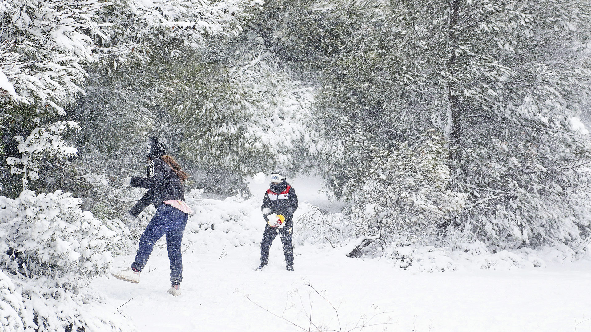 Η ετυμηγορία του καφενείου ήταν πρόστιμο τεσσάρων εκατ. (κατοχικών) δραχμών για την παιδική «χιονοβομβίδα»-1