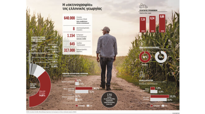 τα-μεγάλα-βαρίδια-της-αγροτικής-οικ-562889662