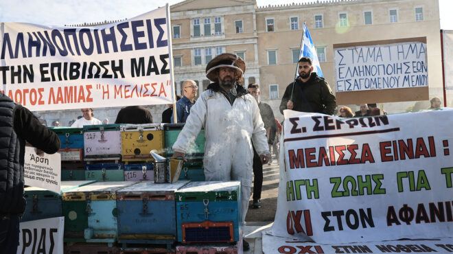 οι-δύο-απειλές-για-το-ελληνικό-μέλι-562898242