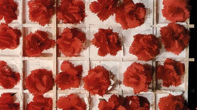 ο-βουβός-πόνος-σαν-πολιτικός-χρυσός-562901005