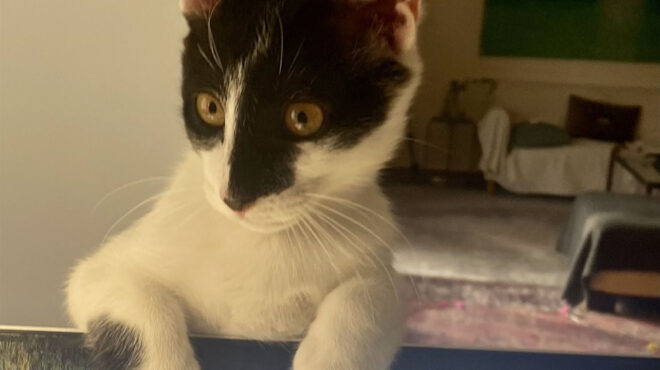 ζητείται-μια-ζεστή-αγκαλιά-για-τον-μαν-562881067