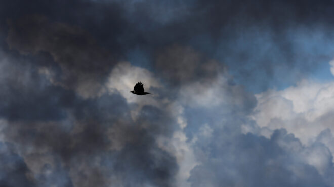 τι-θα-απαντήσει-η-χαμάς-στην-πρόταση-γι-562860916