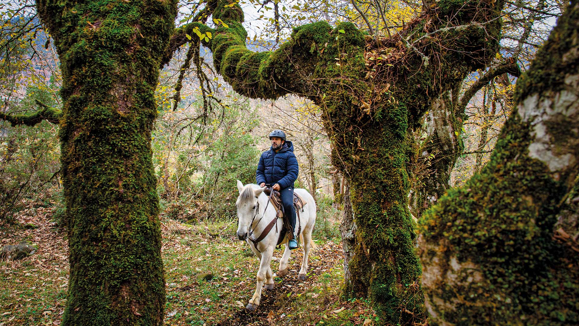3 μοναδικοί ξενώνες που πρέπει να επισκεφθείτε στη Στερεά Ελλάδα-5