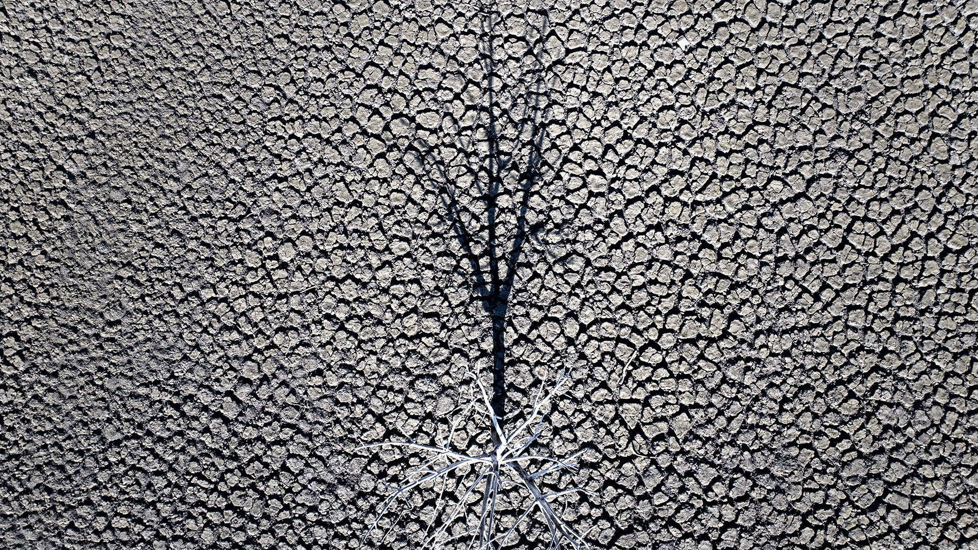 Ευρωπαϊκές πόλεις βάζουν δελτίο στο νερό-1