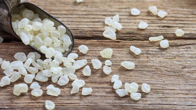 μαστίχα-χίου-πώς-την-αξιοποιούμε-στην-562897144