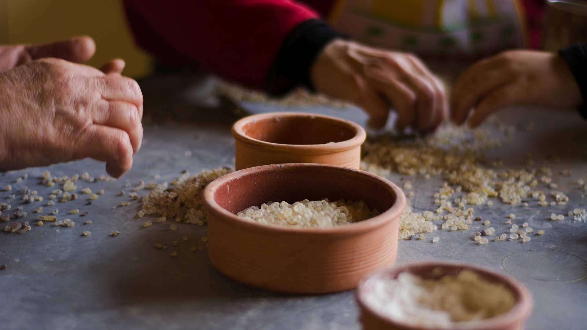 Μαστίχα Χίου: Πώς την αξιοποιούμε στην κουζίνα;-1