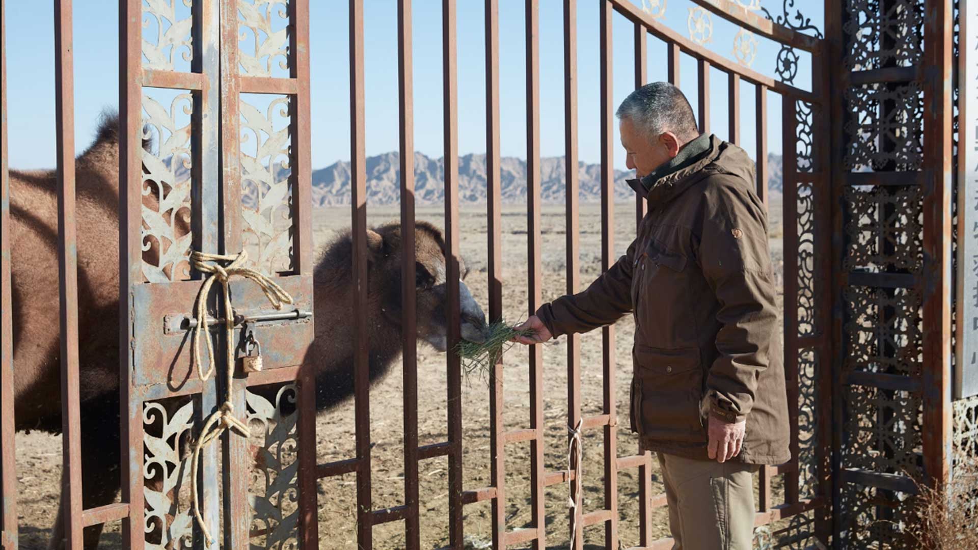 Οι 5 υποψήφιοι για τα βραβεία της Rolex που αλλάζουν τον πλανήτη προς το καλύτερο-7