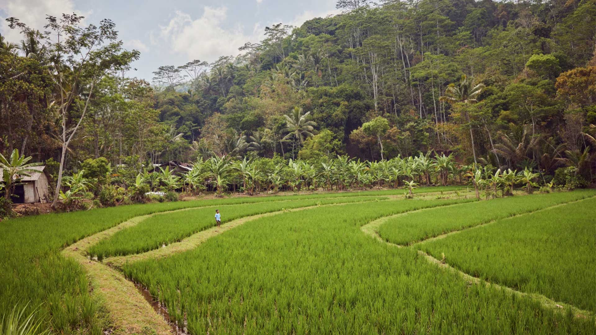 Οι 5 υποψήφιοι για τα βραβεία της Rolex που αλλάζουν τον πλανήτη προς το καλύτερο-2