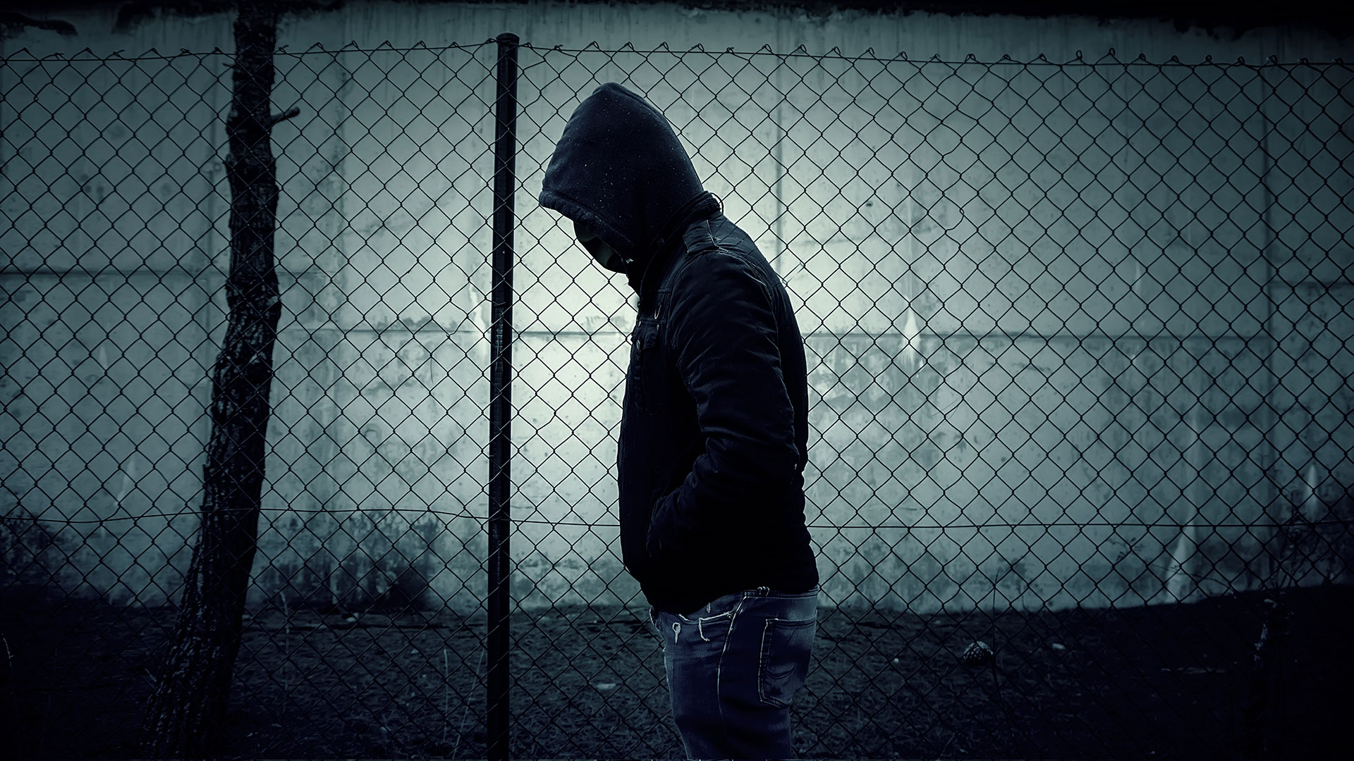 η-επικεφαλής-της-επιτροπής-για-τη-βία-α-562883764