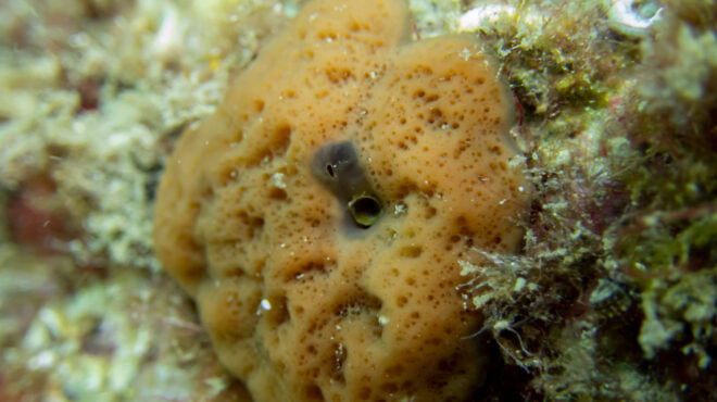 κλιματική-αλλαγή-τι-αποκαλύπτουν-υπε-562869730