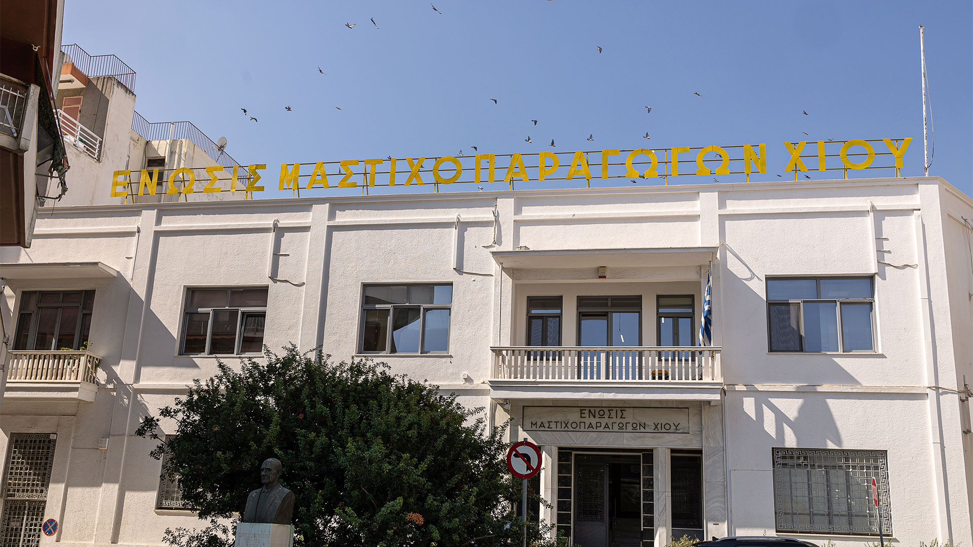 Πώς η μαστίχα Χίου ξέφυγε από παραδοσιακό προϊόν και κατακτά νέες αγορές-4