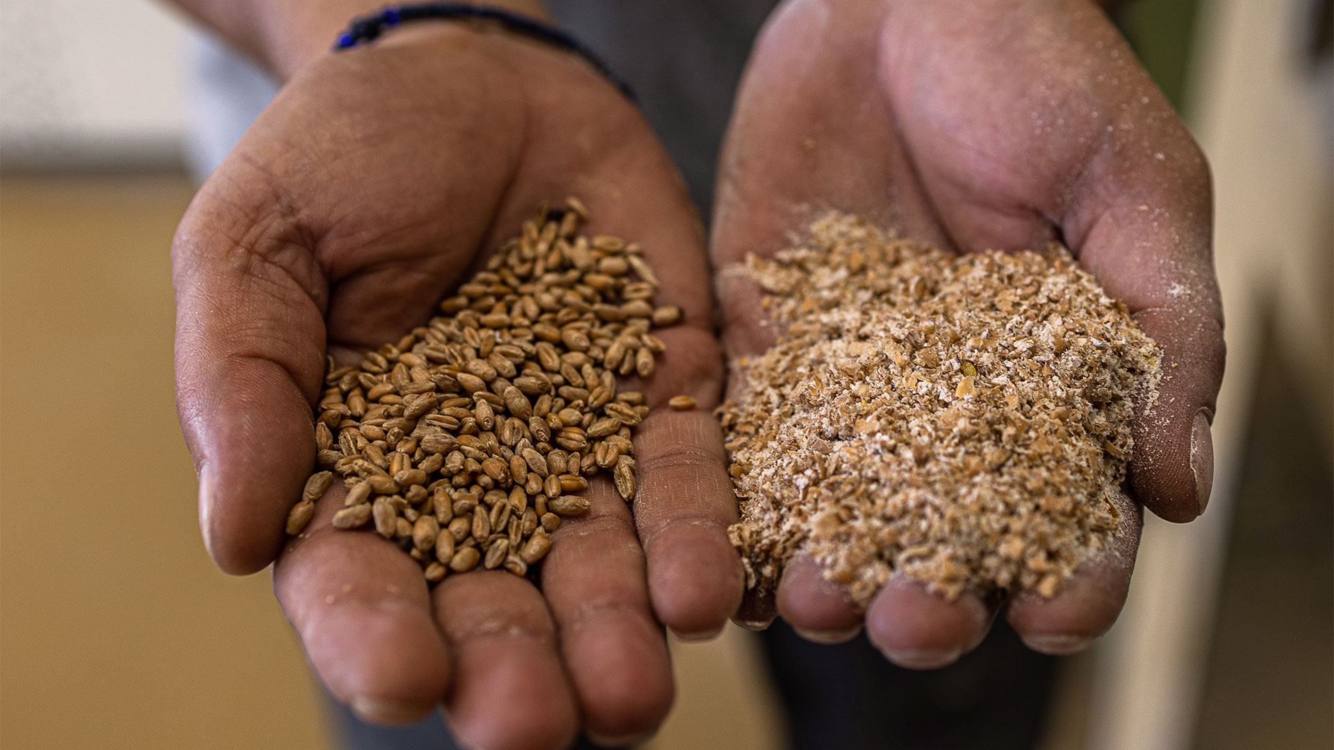 Μύλοι Θράκης: Μια αλευροβιομηχανία με ιστορία ενός αιώνα που κοιτάζει μπροστά-5