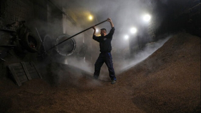 το-τελευταίο-πυρηνελαιουργείο-της-λέ-562893715