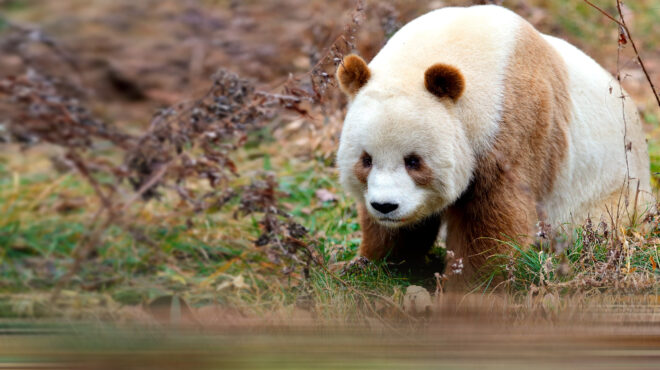 γιατί-κάποια-πάντα-δεν-είναι-ασπρόμαυ-562950910