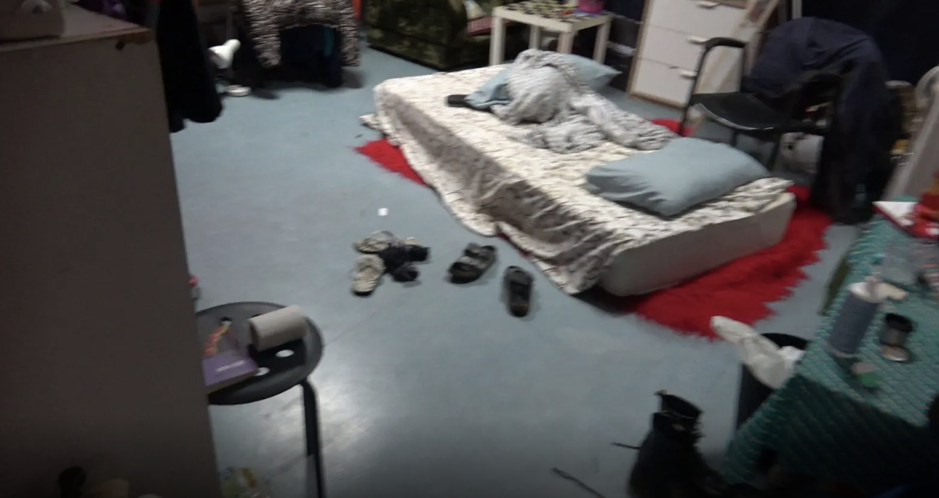 Τρεις συλλήψεις στην επιχείρηση της ΕΛΑΣ στην Πανεπιστημιούπολη – Φωτογραφίες από τα ευρήματα-7