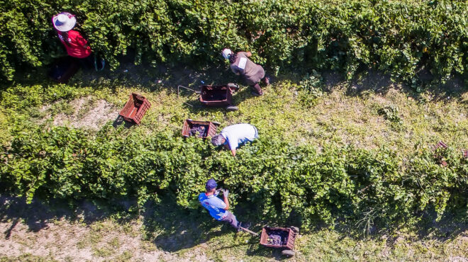 απλοποιείται-η-εισαγωγή-εργατικών-χε-562925404