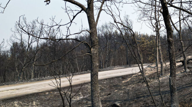 απανωτά-ρεκόρ-θερμοκρασιών-τον-φεβρο-562918546