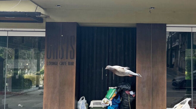 ζάππειο-διαγωνισμός-για-εκμετάλλευσ-562954489