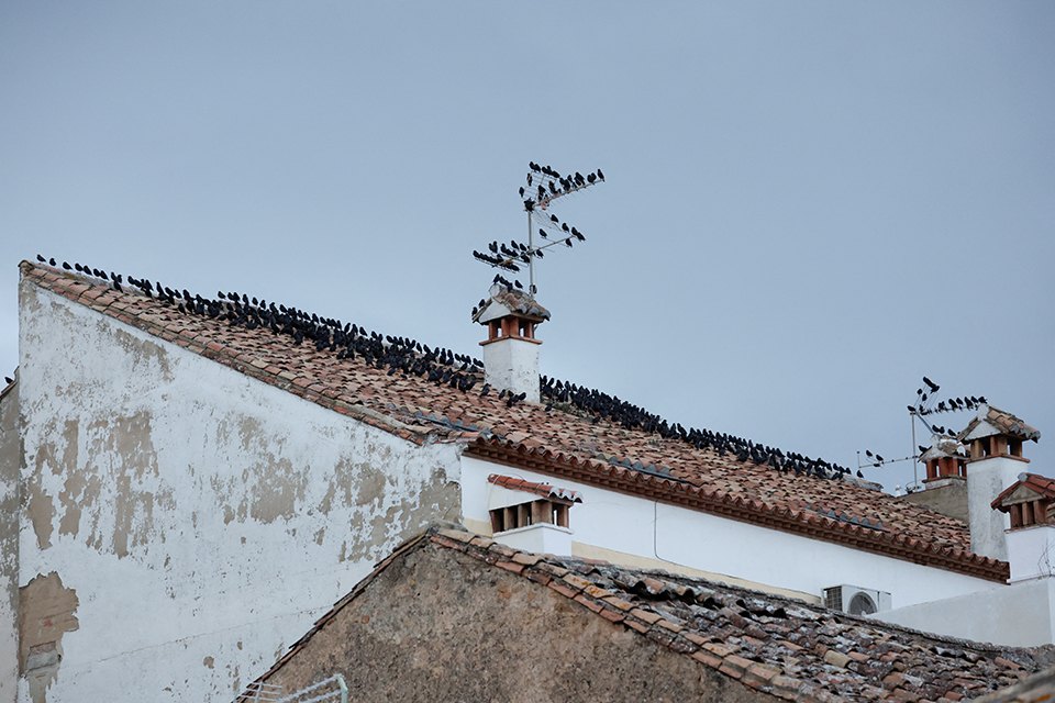 Ανθρωποι και ρομπότ στην Ιαπωνία-2