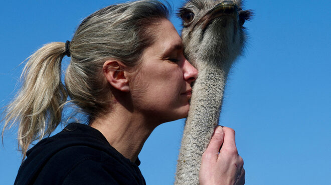 η-επαφή-με-τα-ζώα-562927393