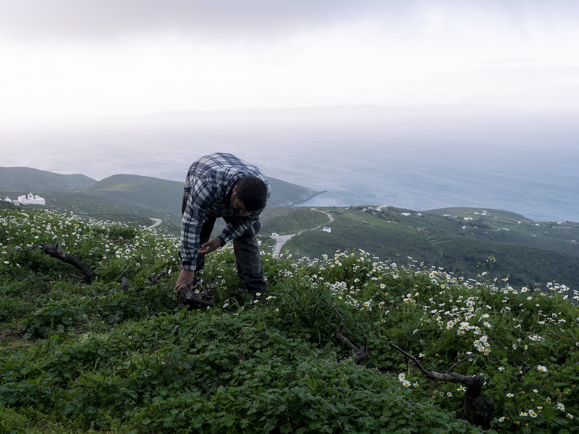 Σέριφος: Δεν έχουμε νερό, αλλά χτίζουμε πισίνες-1
