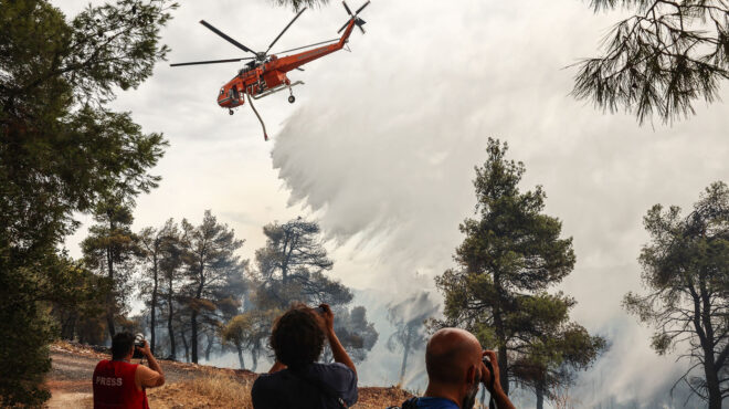 από-τον-μάρτιο-οι-πυρκαγιές-σε-συναγε-562956988
