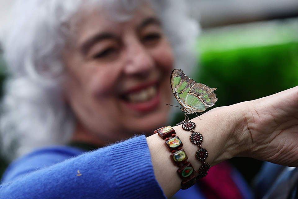 Η επαφή με τα ζώα-2