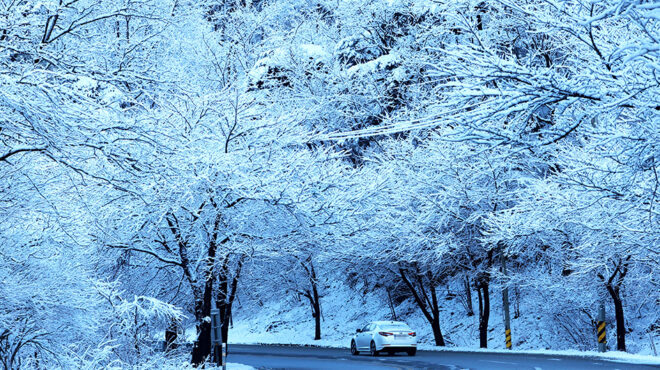 ανοιξη-562941451