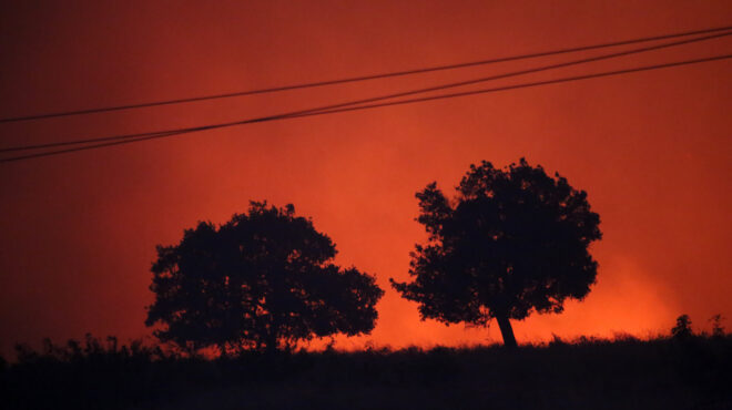 φωτιά-στον-ταΰγετο-συναγερμός-στην-π-562950022