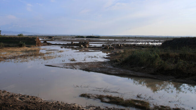 ελγα-αποζημιώσεις-μόνο-στους-πληγέντ-562919443