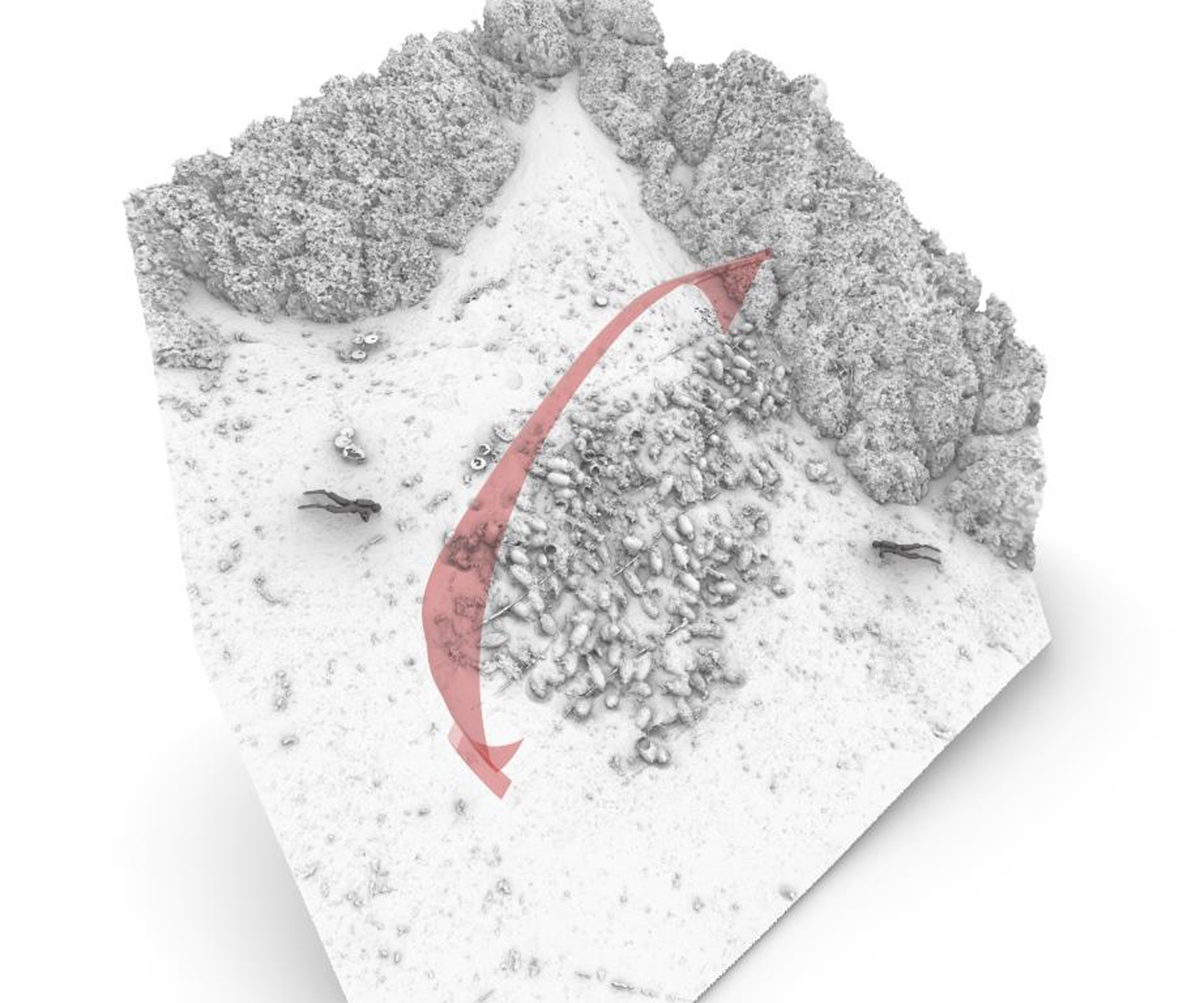 Ναυάγιο στους Φούρνους με αμφορείς από τη Μικρά Ασία μέχρι την Κριμαία-3