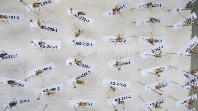 απαραίτητα-και-τον-χειμώνα-τα-αντικου-562950862