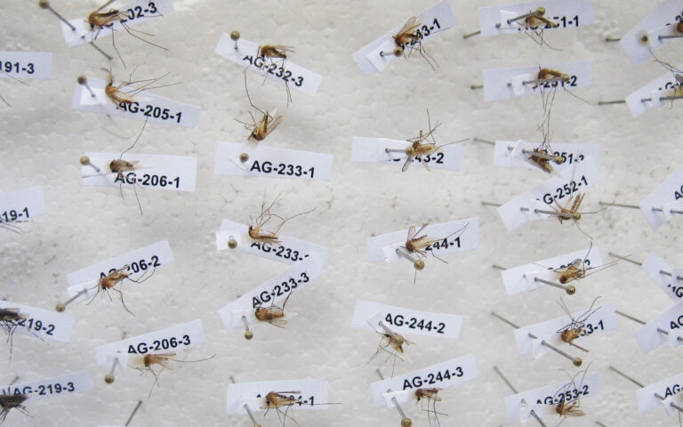 Απαραίτητα και τον χειμώνα τα αντικουνουπικά