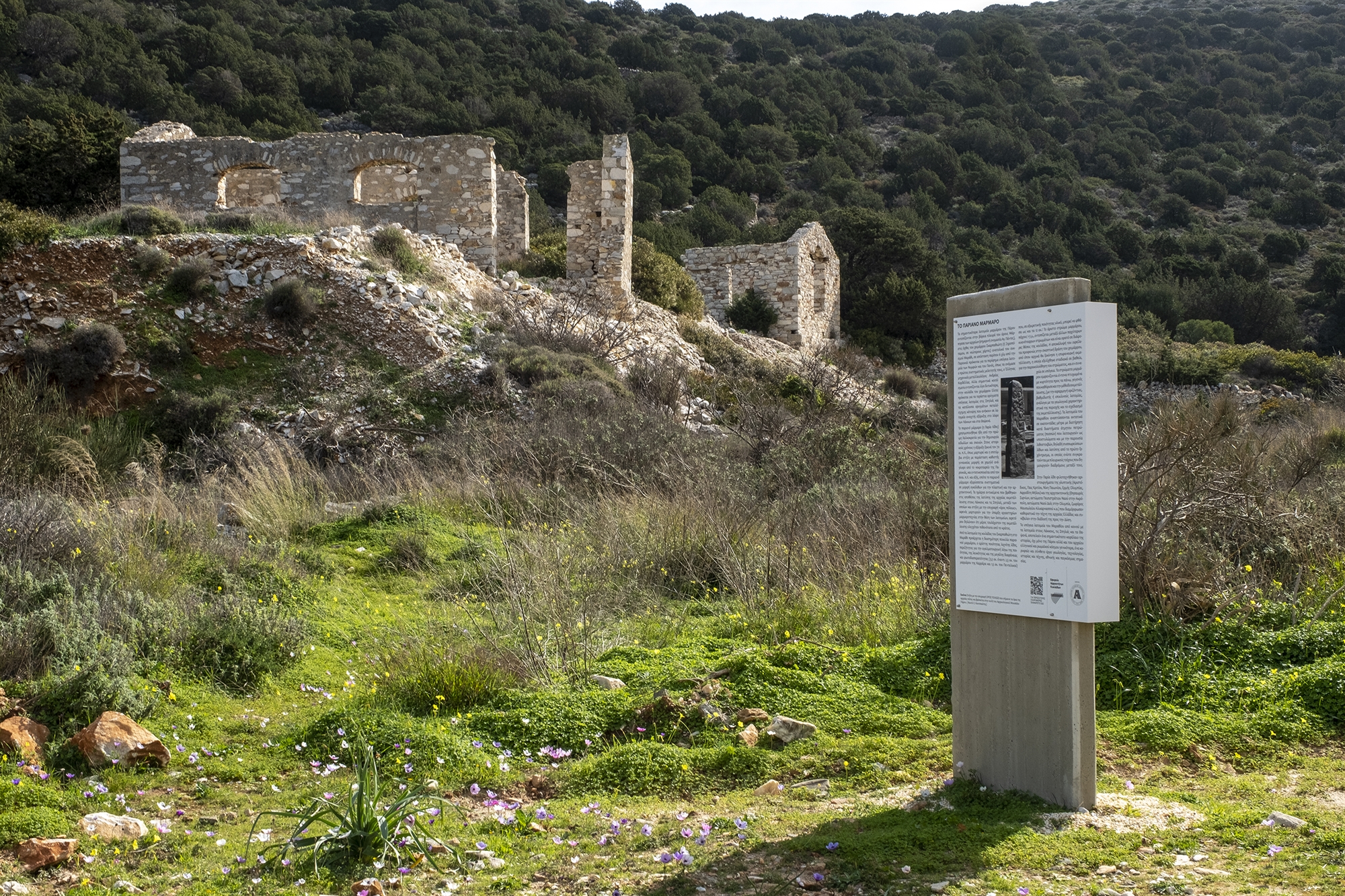 Ο τσαμπουνιέρης φυσάει τα βάσανά του-1