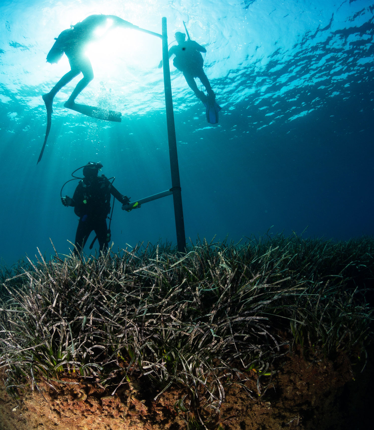 Ο υποθαλάσσιος «θηρευτής» του άνθρακα-1