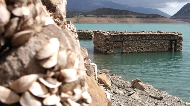 καμιά-πατρίδα-για-τους-καταραμένους-562913119