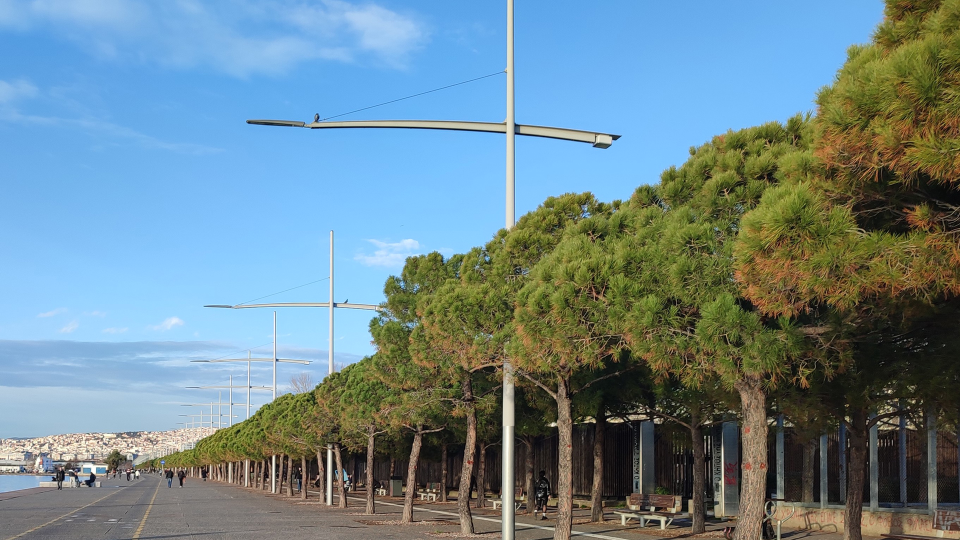 μήπως-η-γειτονιά-σου-προκαλεί-αλλεργί-562941241