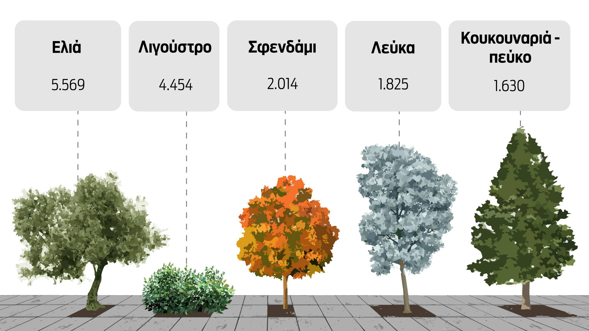 Μαραθώνιος για να αναπνεύσει η Αθήνα-2