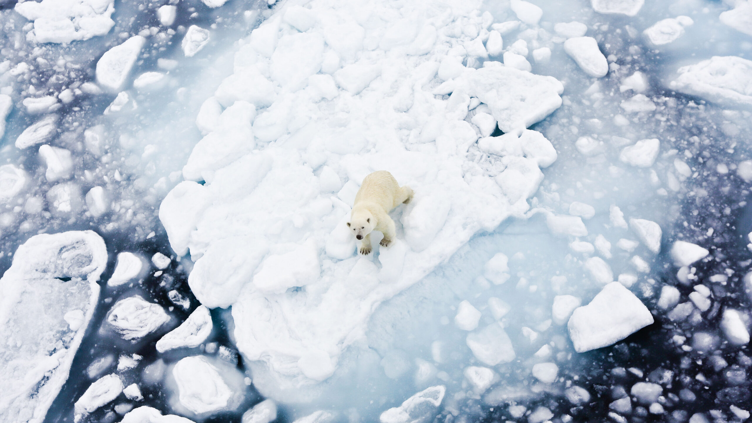 Μπήκαμε στην Ανθρωπόκαινο εποχή; Οχι ακόμα, λένε οι επιστήμονες-1
