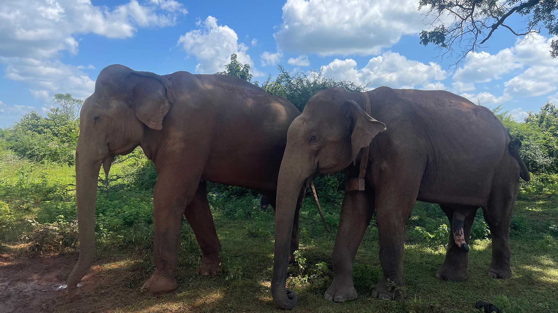 Σρι Λάνκα: Ταξιδεύοντας με το τρένο στο «μαργαριτάρι» του Ινδικού Ωκεανού-7