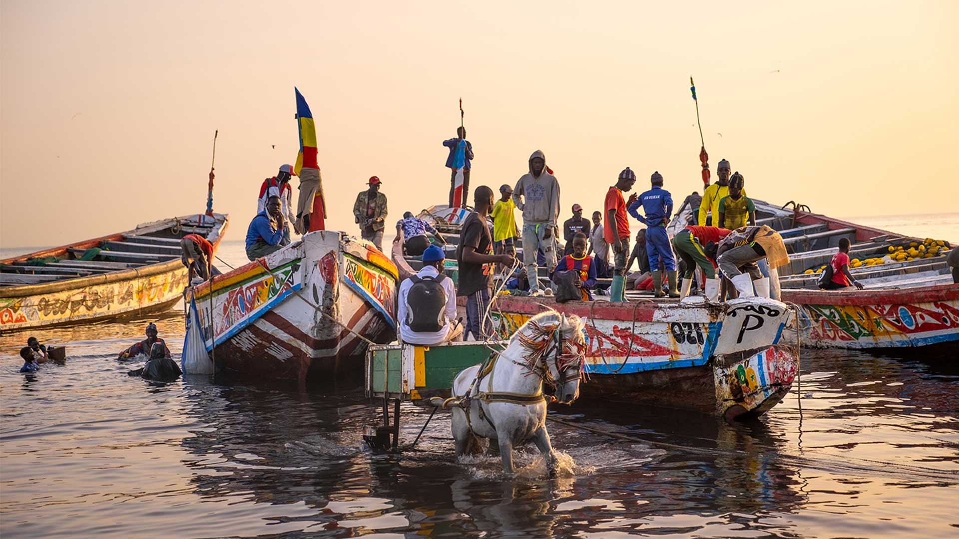 Στέφανος Παπαϊωάννου, ο Ελληνας που ξεχώρισε στα φωτογραφικά βραβεία της Sony-1